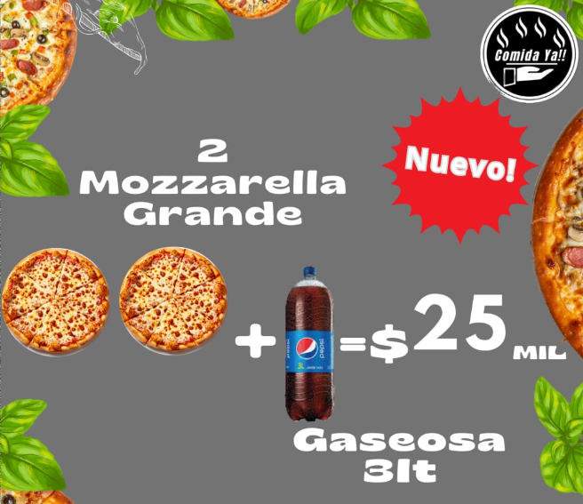 2 MOZZARELLA GRANDE MAS GASEOSA GRANDE