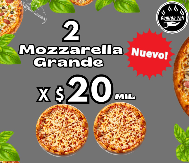 2 MOZZARELLA